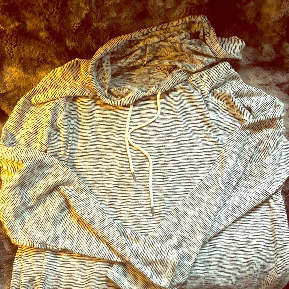 Aerie hoodie